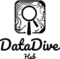 DataDive Hub