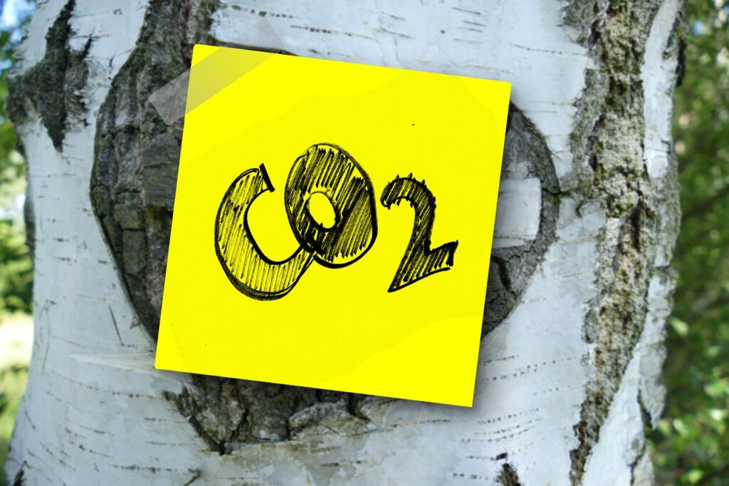 co2, carbon dioxide, nature-3139230.jpg